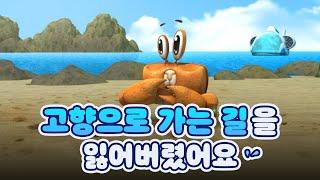 달랑게가 집을 잃어버린 사연은?!  [어린이 해양교육]