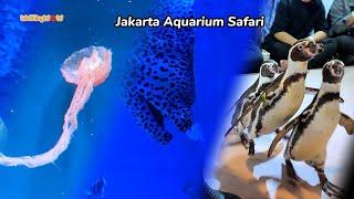 Jakarta Aquarium Safari Indonesia #jakarta #aquariumjakarta #soho