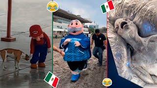 HUMOR VIRAL #84| SI TE RIES PIERDES. | HUMOR MEXICANO TikTok | VIRAL MEXICANO