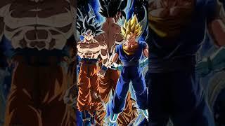 GOKU VS VEGITO