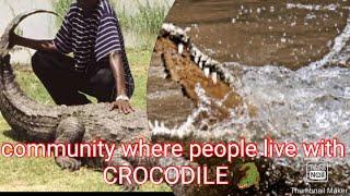 Community where people live with crocodiles  #letustravel #culture  #livestyle #traditional