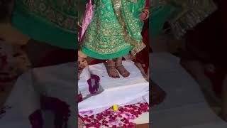 Rajput wedding short video#viral #wedding #video #baisa #folksong #royalwedding