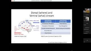 Cerebral Visual Impairment