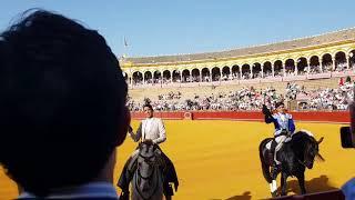 TRAVEL TOUR PLAZA DE TOROS SEVILLA SPAIN | VIVA ESPAÑA 