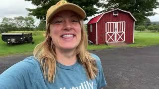 Flower Harvest for Market : Hydrangeas and Quick Dip!  Flower Hill Farm