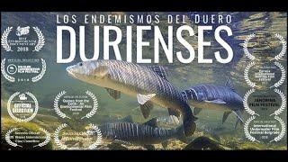 DURIENSES: The endemic species of the DUERO