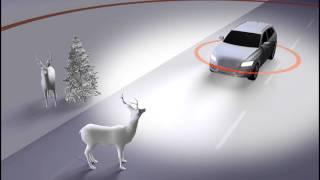 Delphi’s Automated Driving Vehicle: Road Runner