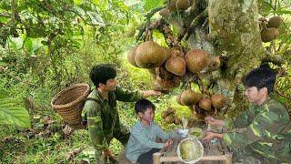 Harvesting wild figs to sell. Buying food, cooking simple meals. Daily life of two poor brothers