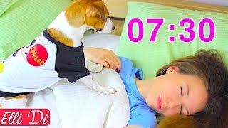 МОЁ УТРО И УТРО МОЕЙ СОБАКИ / MY MORNING ROUTINE with dog | Elli Di Pets