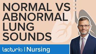 Normal and Abnormal Breath Sounds Explained | Physical Assessment | Lecturio Nursing