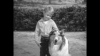 Lassie - Episode #104 - "The Runaway" - Season 4, Ep. 1 - originally aired September 8, 1957