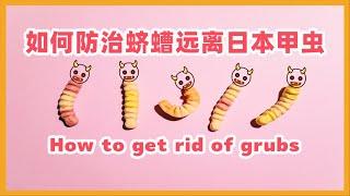 教你简单两步防治蛴螬 花园从此和日本甲虫说拜拜Two easy steps to Get Rid of Grubs丨5DC