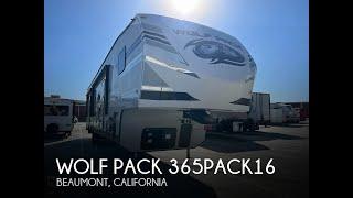 Used 2019 Wolf Pack 365PACK16 for sale in Beaumont, California