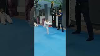 Груша не даёт сдачи в Кайман Карате #shorts #karate #каратэ #киокусинкай #competition #tiktok #top