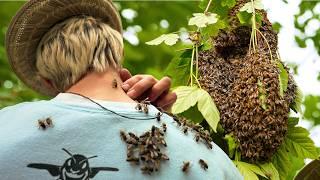 #1 Our neighbor called me immediately when he saw this! / Swarm of bees takes over the garden 🫣