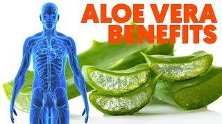 This is What Aloe Vera Does in Your Body