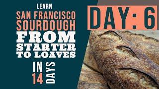 San Francisco Sourdough Bread Series: Day 6 - Transitioning your starter