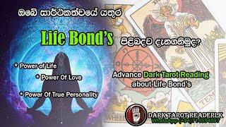 ඔබේ සාර්ථකත්වයේ යතුර පිළිබදව දැනගනිමුද?Life Bond'sපිළිබද Dark Tarot  කියවීමක්|Sinhala|#tarotreading