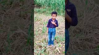 Chhote chhote sapne Ho short# viral# video video acchi lagi please like and subscribe 