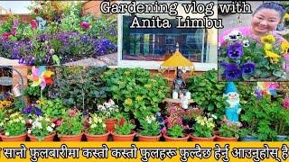 My Front garden tour  | Early June Garden update | Nepali gardening vlogs