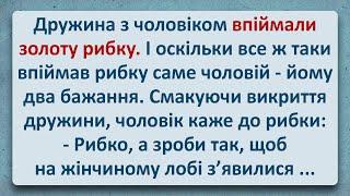 Дружина з Чоловіком Впіймали Золоту Рибку! Українські Анекдоти та Українською! Епізод #353