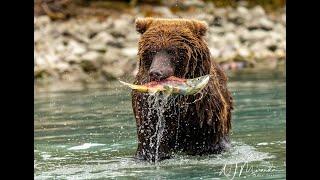 Alaska Photo Tour Testimonial with Jeff Schultz Photography.