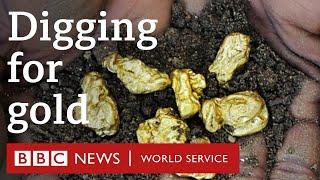 Why can't I find gold in my back yard? - CrowdScience, BBC World Service