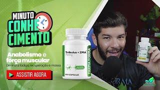 TRIBULUS TERRESTRIS + ZMA NO AUMENTO DE LIBIDO