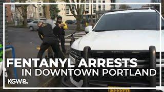 10 suspected fentanyl dealers arrested from one Southwest Portland block