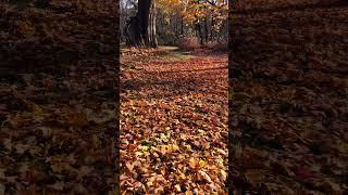 November in Lake Geneva Wi