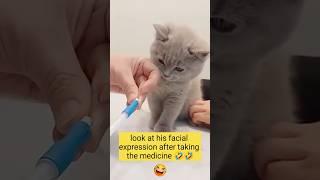 look at his facial expression after taking the medicine  #cat