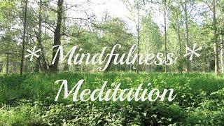 15 MINUTES of Flowing Water and Nature Sounds - Mindfulness Meditation *Relaxing *Soothing