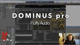 MY SAMPLE #3 | Overview of DominusPro by Fluffy Audio