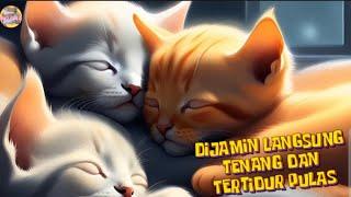 SOOTHING MELODY FOR CAT| MUSIK PENENANG KUCING