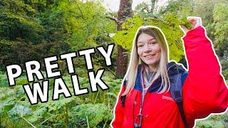 A Gentle Stroll | Tideswell Dale to Litton Mill | The Peak District