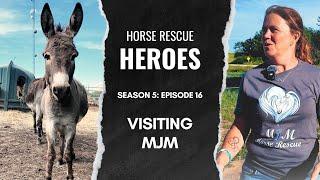 Visiting MJM Horse Rescue | Horse Rescue Heroes S5E16