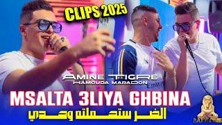 Cheb Amine Tigre 2024 Feat Hamouda Maradon [Msalta 3liya Ghbina-الضر ستحملته وحدي]© Clips Officiel