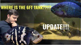 NO MORE MONSTER FISH?!?! ( South America cichlid tank update )