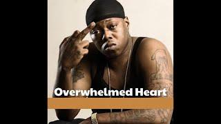 [FREE] Z-Ro x Paul Wall Type Beat “Overwhelmed Heart” | Down South Type Beat