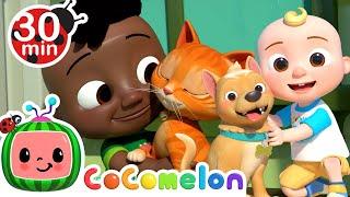 Pet Care - We Love Our Pets | CoComelon Furry Friends | Animals for Kids