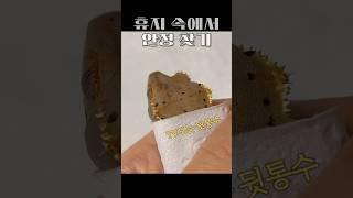 입가에 밥 묻혀놓고 티비보는 중~~ 행복해보인다 게똥아~ #게코도마뱀 #크레스티드게코