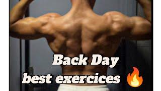 BackDay - Gym Motivation Davidlaid