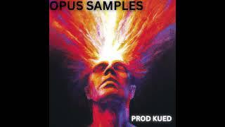 [FREE] LOOP KIT/SAMPLE PACK - "OPUS" (Southside ,Metro Boomin, Dez Wright, OZ and Kingsway etc)