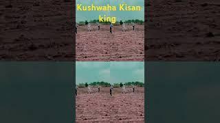 kushwaha Kisan king