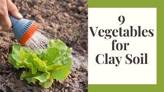 The Best Vegetables To Grow In Heavy Soil