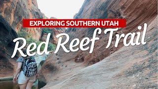 Exploring Southern Utah Underrated Trails: Red Reef