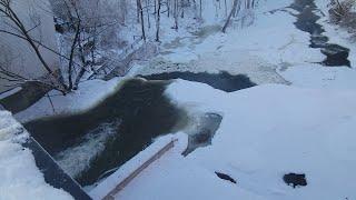 Sally Timms - Snowbird - Dogwalker Chagrin Falls 2/22/25 & 2/27/25 - Main Street Bridge