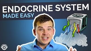 Endocrine System Made Easy