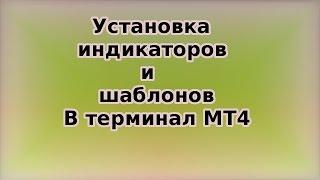 Установка индикаторов и шаблонов в терминал MT4