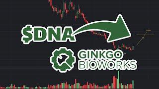 DNA Stock Price Prediction: What's next? | DNA stock analysis